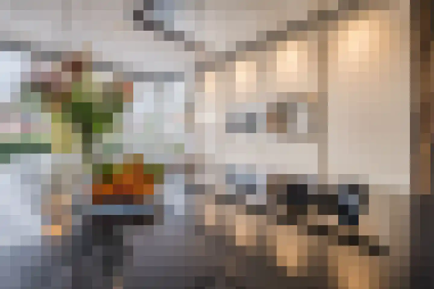 Valeriaan 29 Meppel thumbnail 17