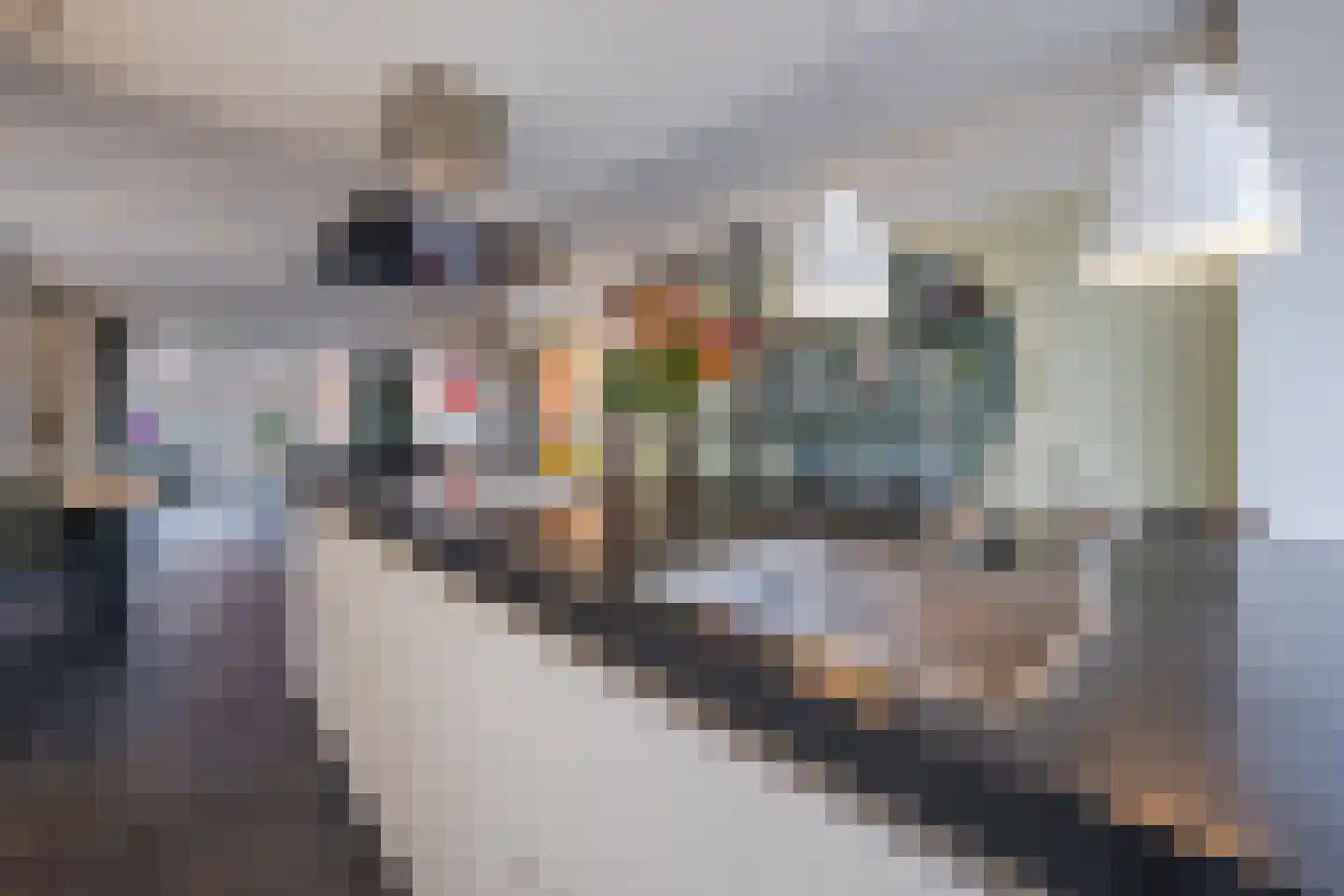 Valeriaan 29 Meppel thumbnail 18