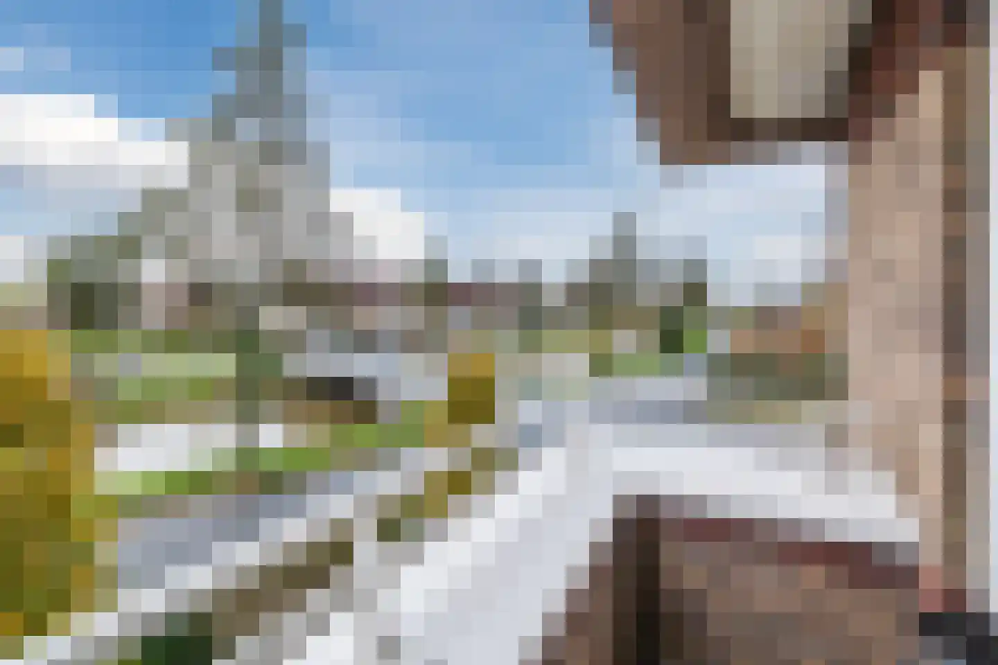 Valeriaan 29 Meppel thumbnail 26