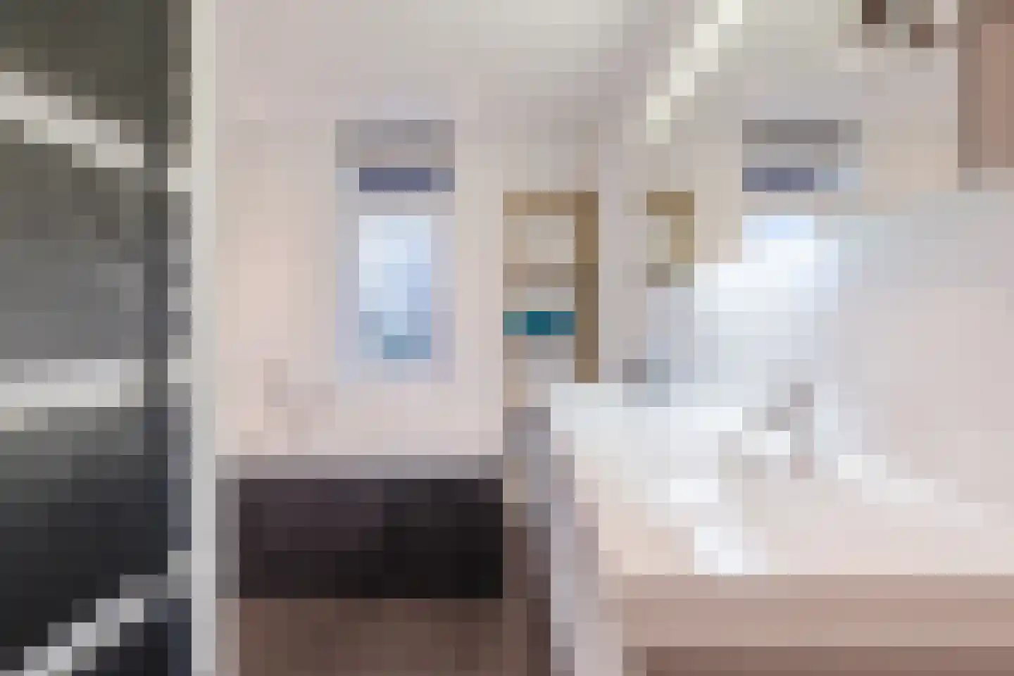 Valeriaan 29 Meppel thumbnail 31