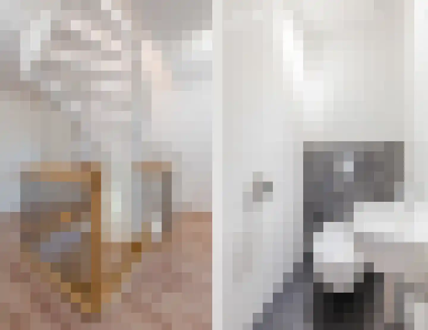 Valeriaan 29 Meppel thumbnail 33
