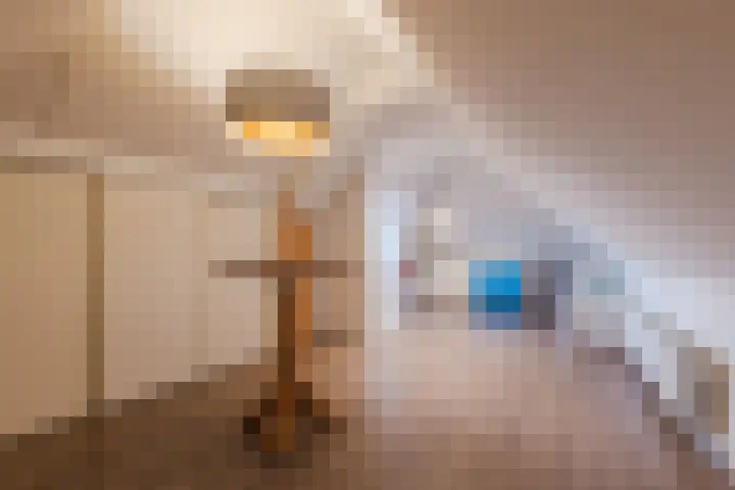 Valeriaan 29 Meppel thumbnail 36