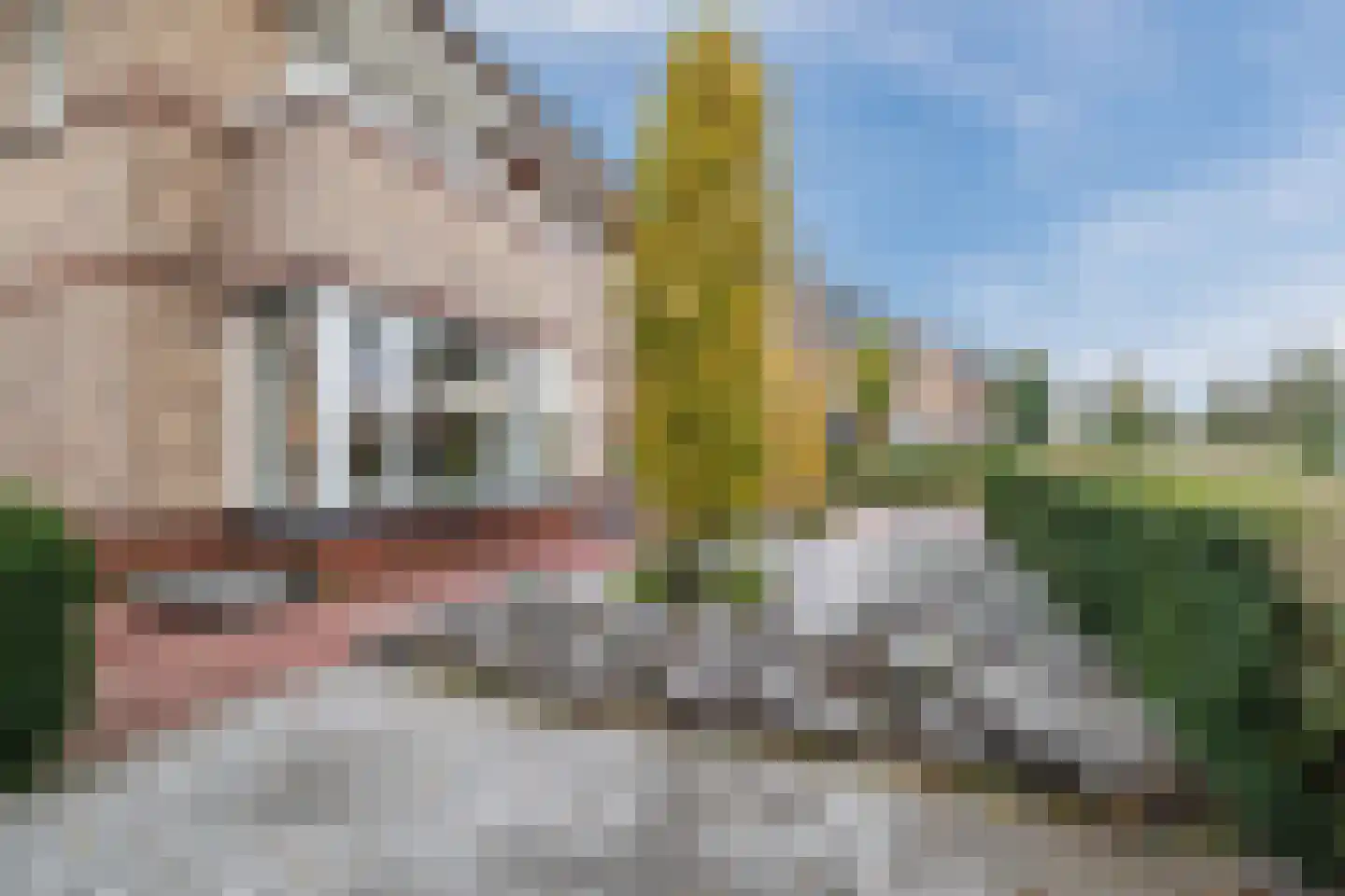 Valeriaan 29 Meppel thumbnail 39