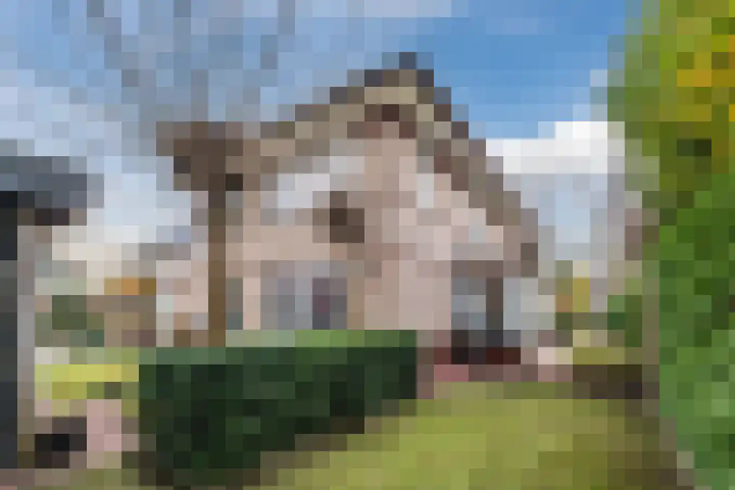 Valeriaan 29 Meppel thumbnail 42