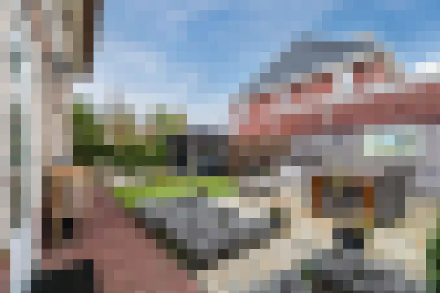 Valeriaan 29 Meppel thumbnail 43