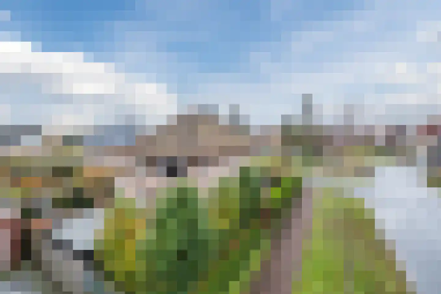 Valeriaan 29 Meppel thumbnail 45