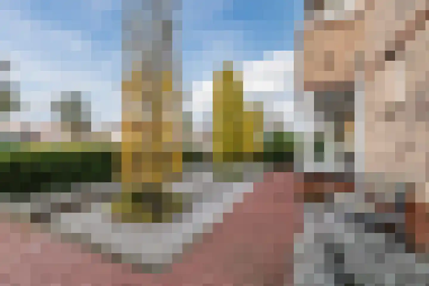 Valeriaan 29 Meppel thumbnail 5