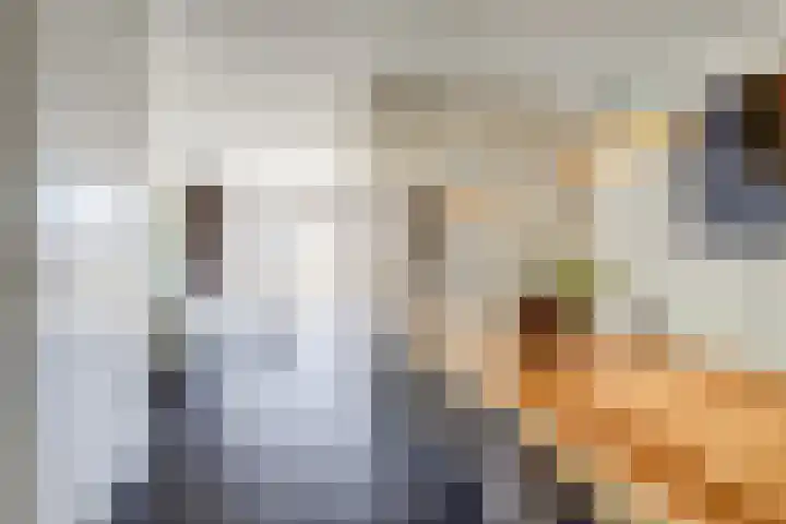 Valeriaan 3 Bladel thumbnail 13