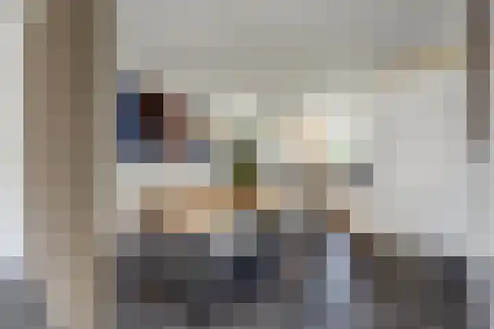 Valeriaan 3 Bladel thumbnail 15
