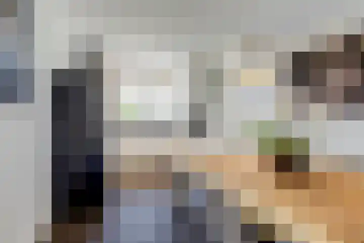 Valeriaan 3 Bladel thumbnail 17