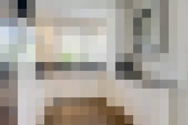 Valeriaan 3 Bladel thumbnail 18