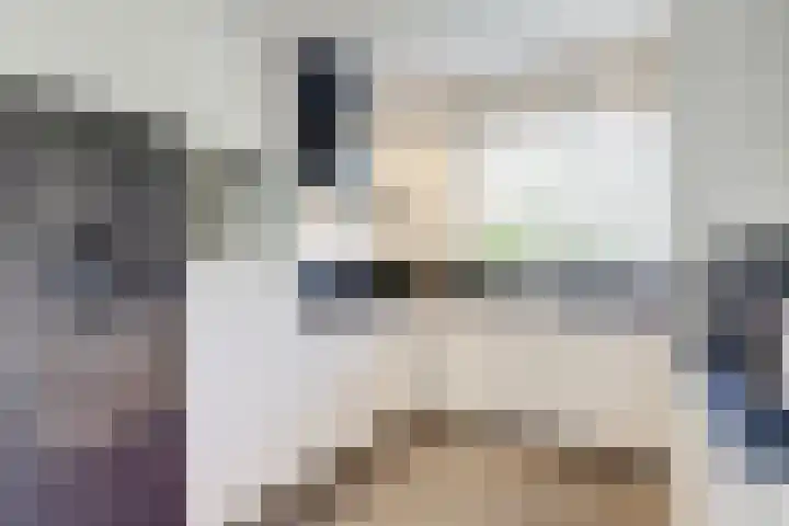 Valeriaan 3 Bladel thumbnail 19
