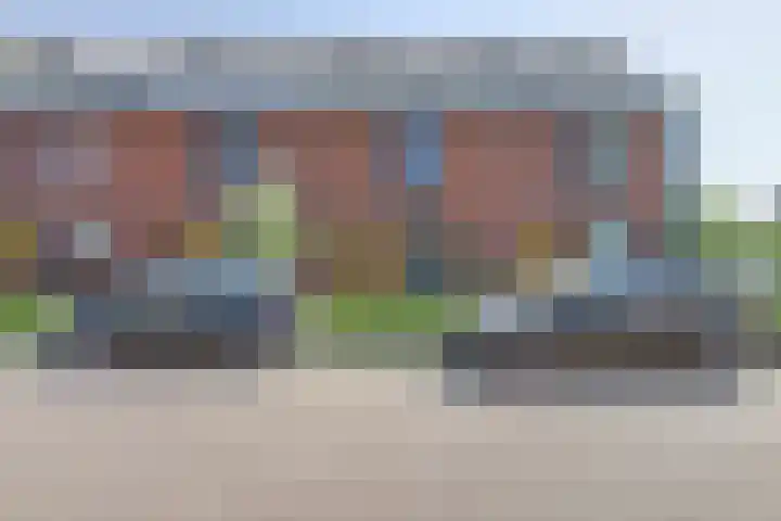 Valeriaan 3 Bladel foto 2