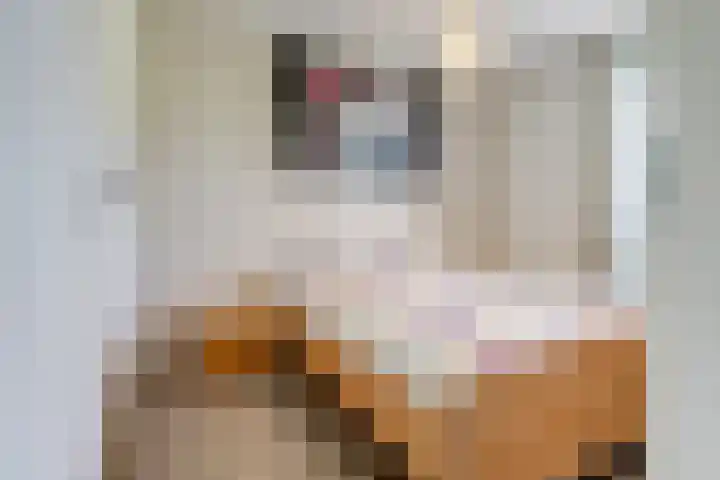 Valeriaan 3 Bladel thumbnail 21
