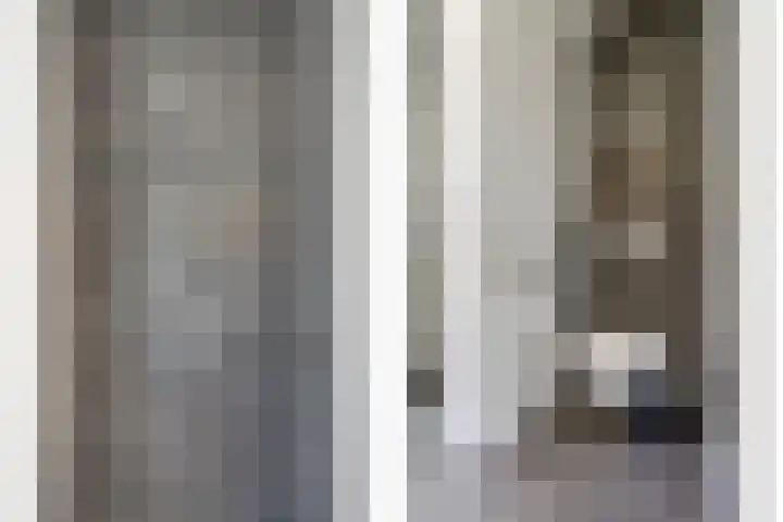 Valeriaan 3 Bladel thumbnail 24