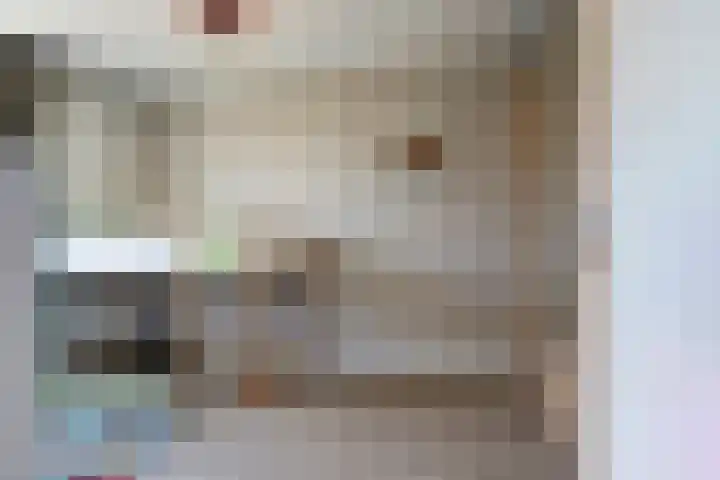 Valeriaan 3 Bladel thumbnail 25