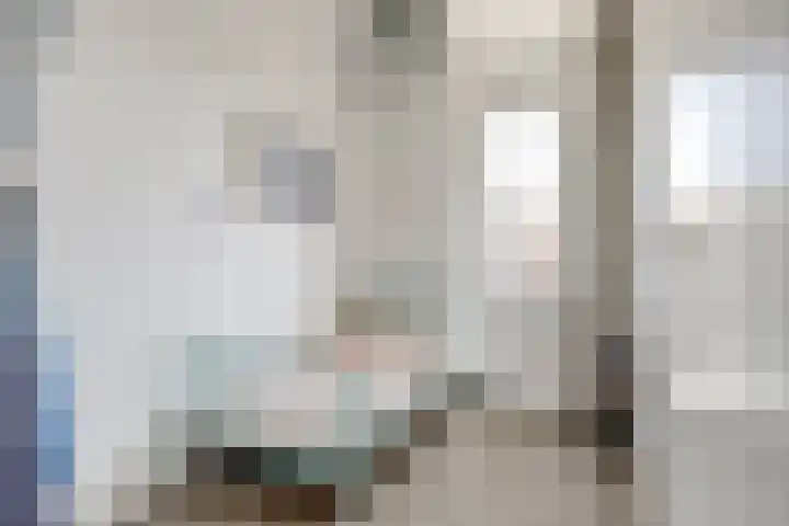 Valeriaan 3 Bladel thumbnail 27