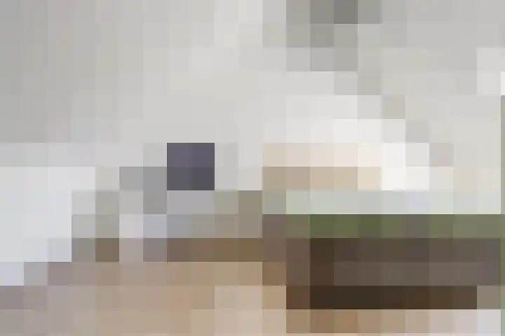 Valeriaan 3 Bladel thumbnail 28