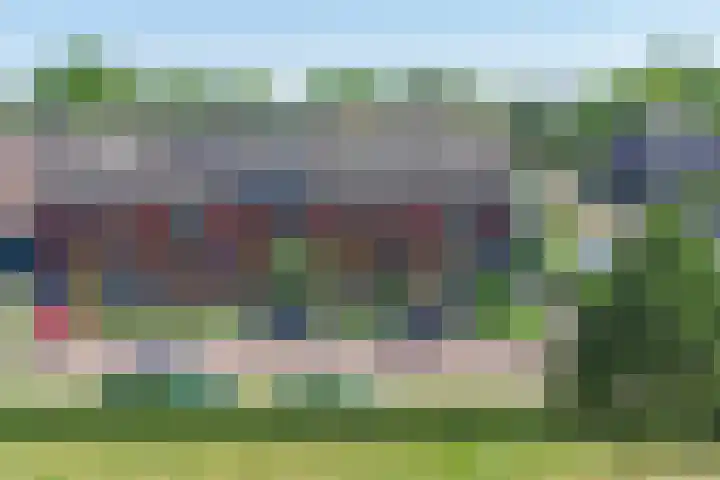 Valeriaan 3 Bladel foto 3