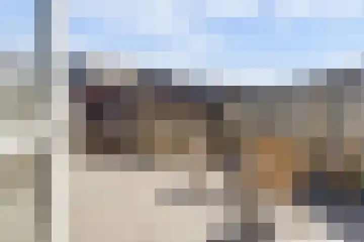 Valeriaan 3 Bladel thumbnail 32