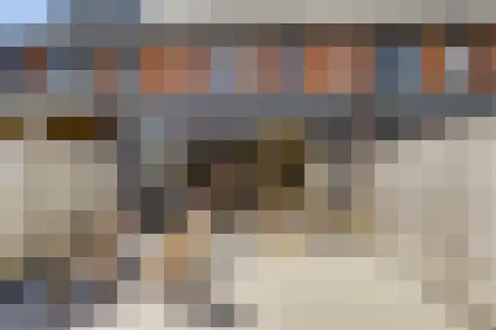 Valeriaan 3 Bladel thumbnail 35