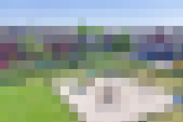 Valeriaan 3 Bladel thumbnail 37