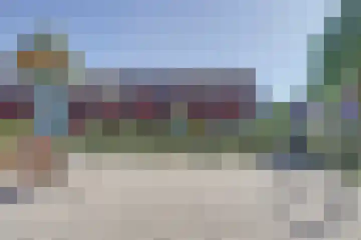 Valeriaan 3 Bladel thumbnail 4
