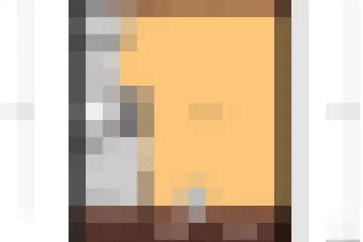 Valeriaan 3 Bladel thumbnail 41