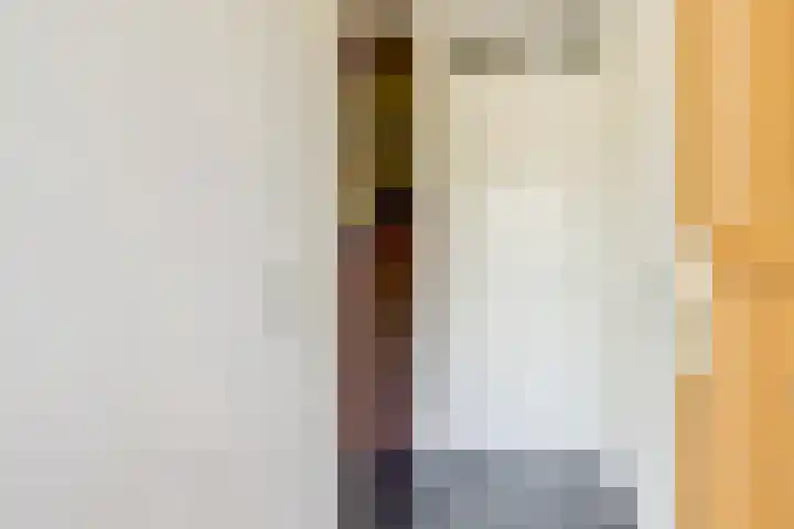 Valeriaan 3 Bladel thumbnail 6