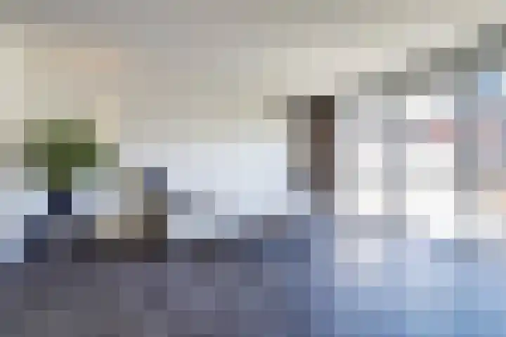 Valeriaan 3 Bladel thumbnail 9