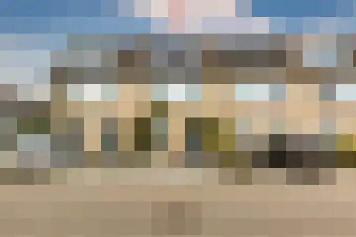 Valeriaan 3 Nootdorp