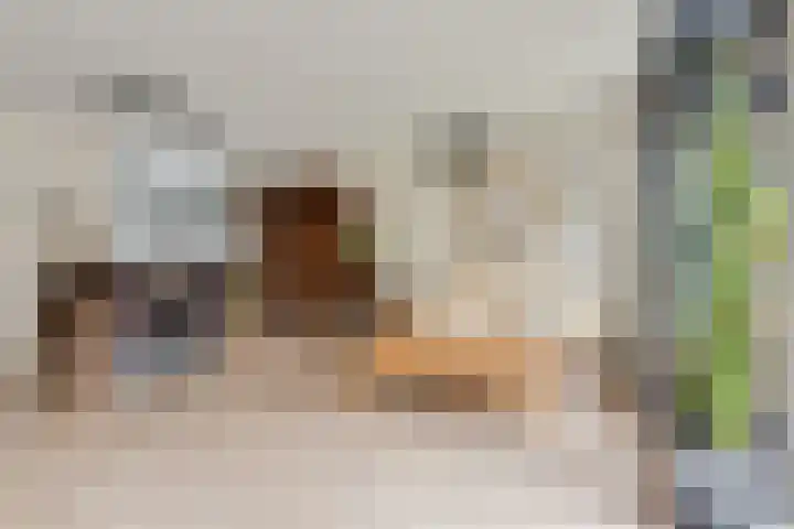 Valeriaan 3 Nootdorp thumbnail 11
