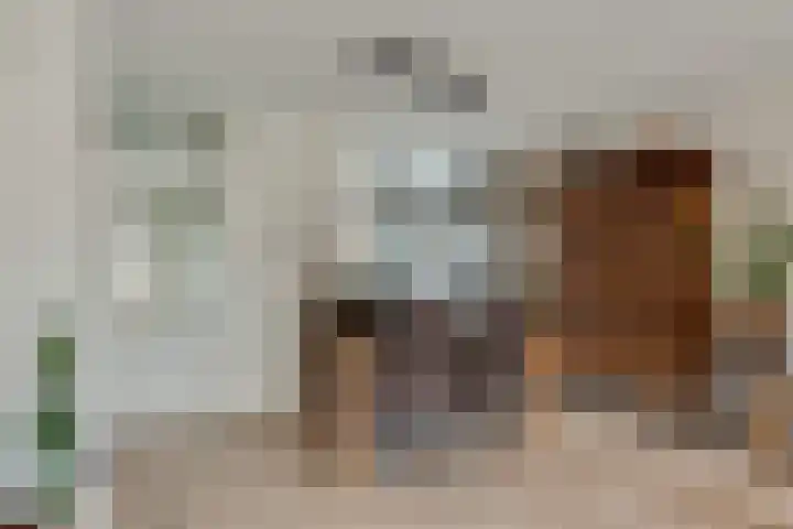 Valeriaan 3 Nootdorp thumbnail 15