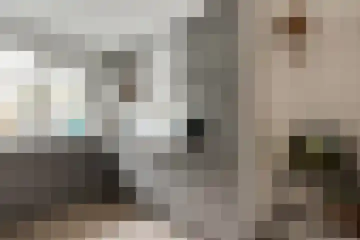 Valeriaan 3 Nootdorp thumbnail 18