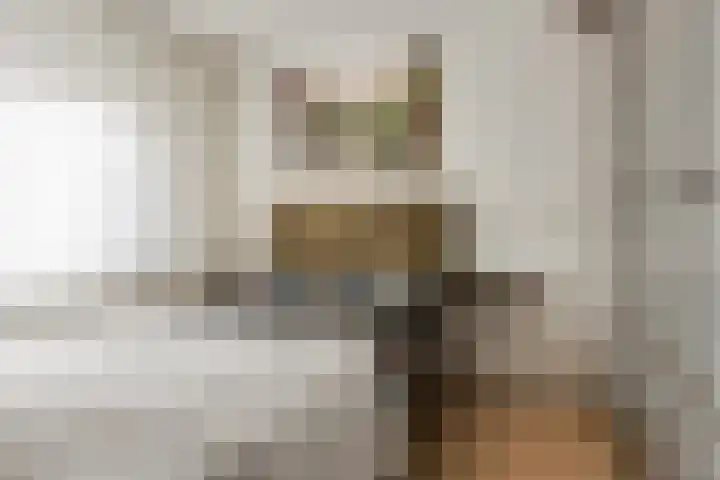Valeriaan 3 Nootdorp thumbnail 20
