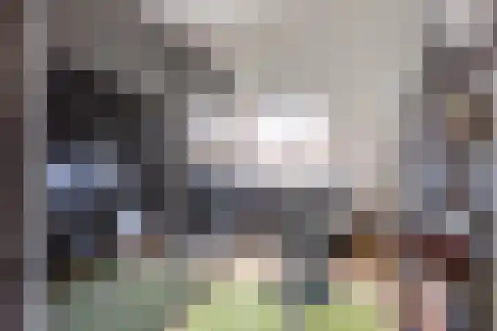 Valeriaan 3 Nootdorp thumbnail 21