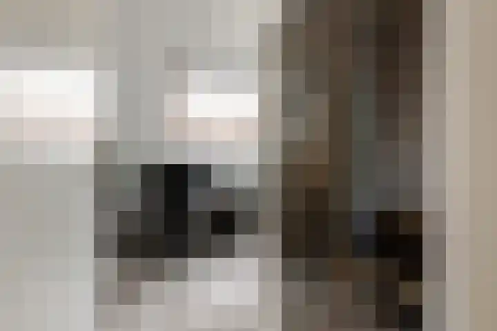 Valeriaan 3 Nootdorp thumbnail 23