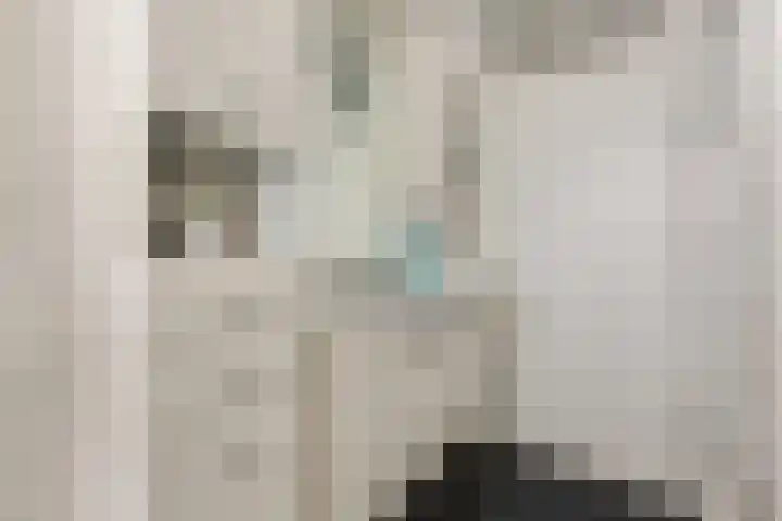 Valeriaan 3 Nootdorp thumbnail 26