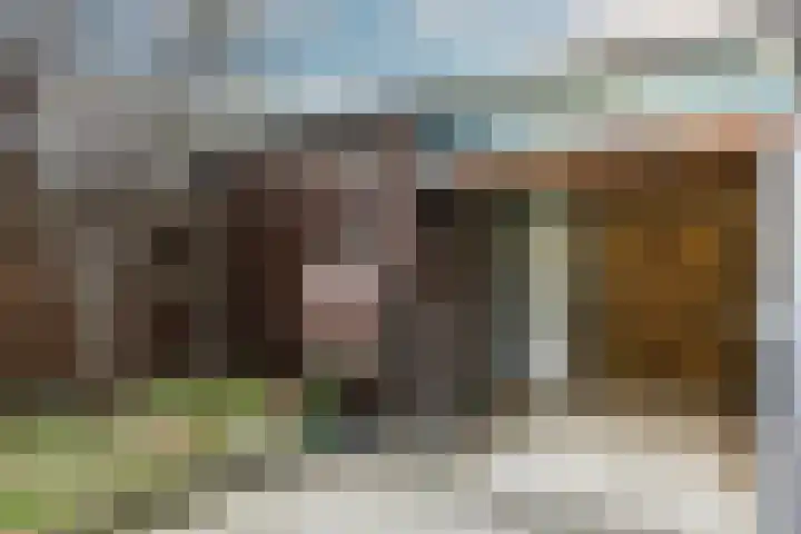 Valeriaan 3 Nootdorp thumbnail 32