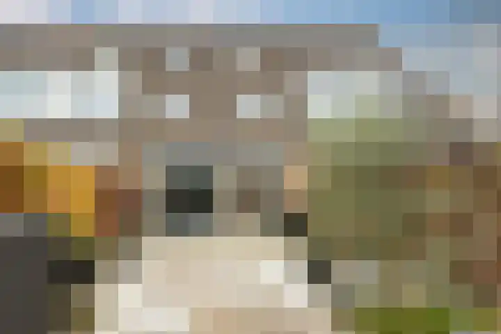 Valeriaan 3 Nootdorp thumbnail 33