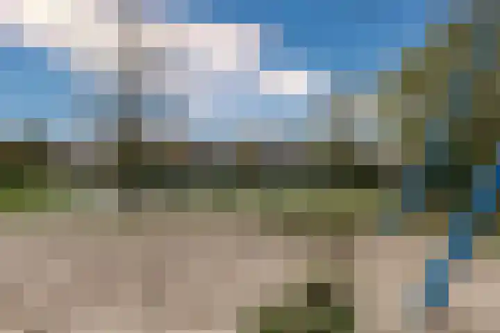 Valeriaan 3 Nootdorp thumbnail 36