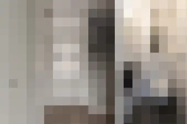 Valeriaan 3 Nootdorp thumbnail 9