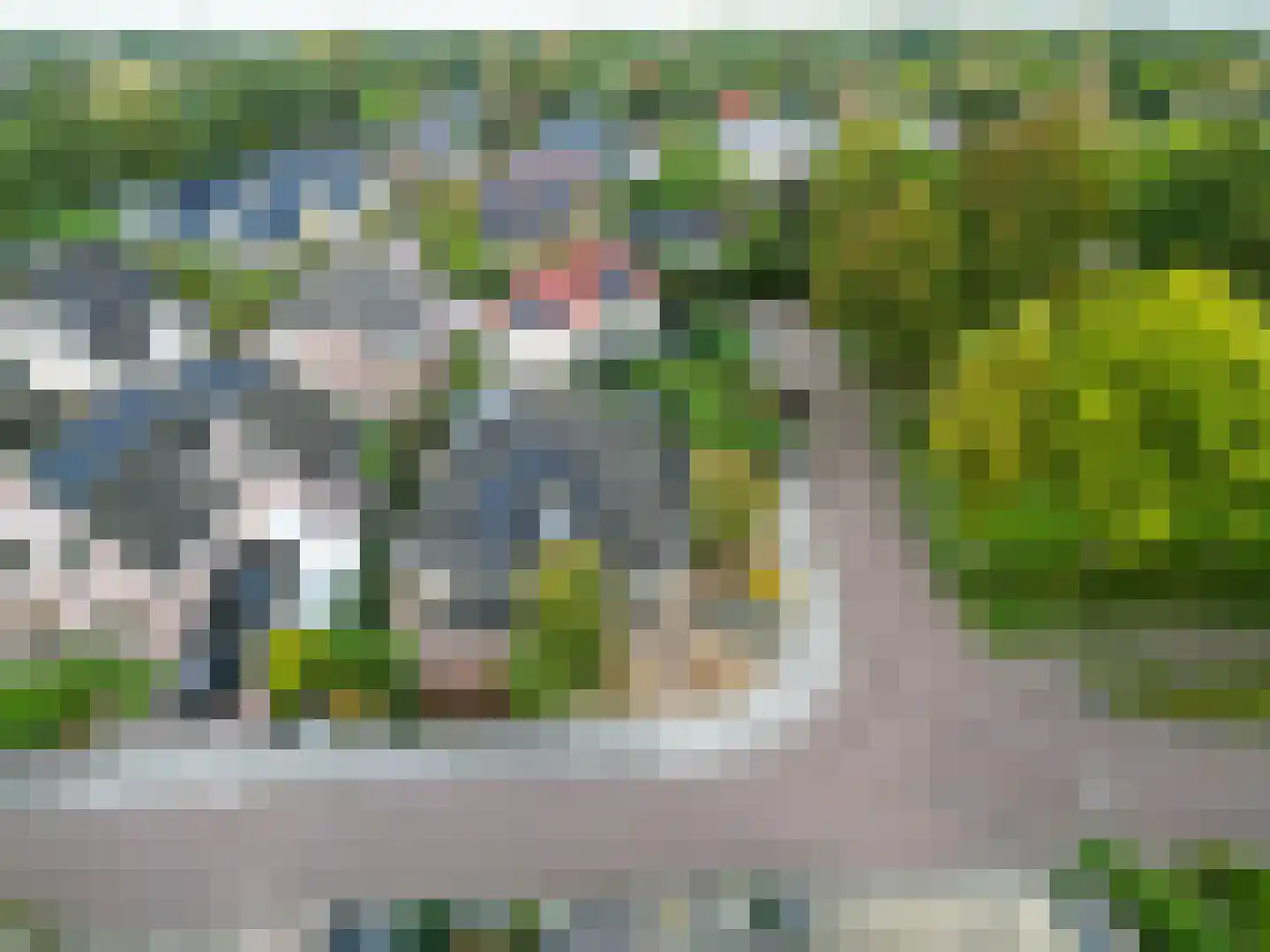 Valeriaan 30 Marum thumbnail 10