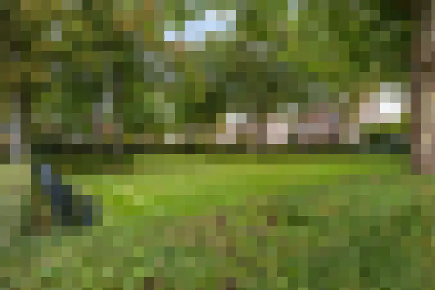 Valeriaan 30 Marum thumbnail 11