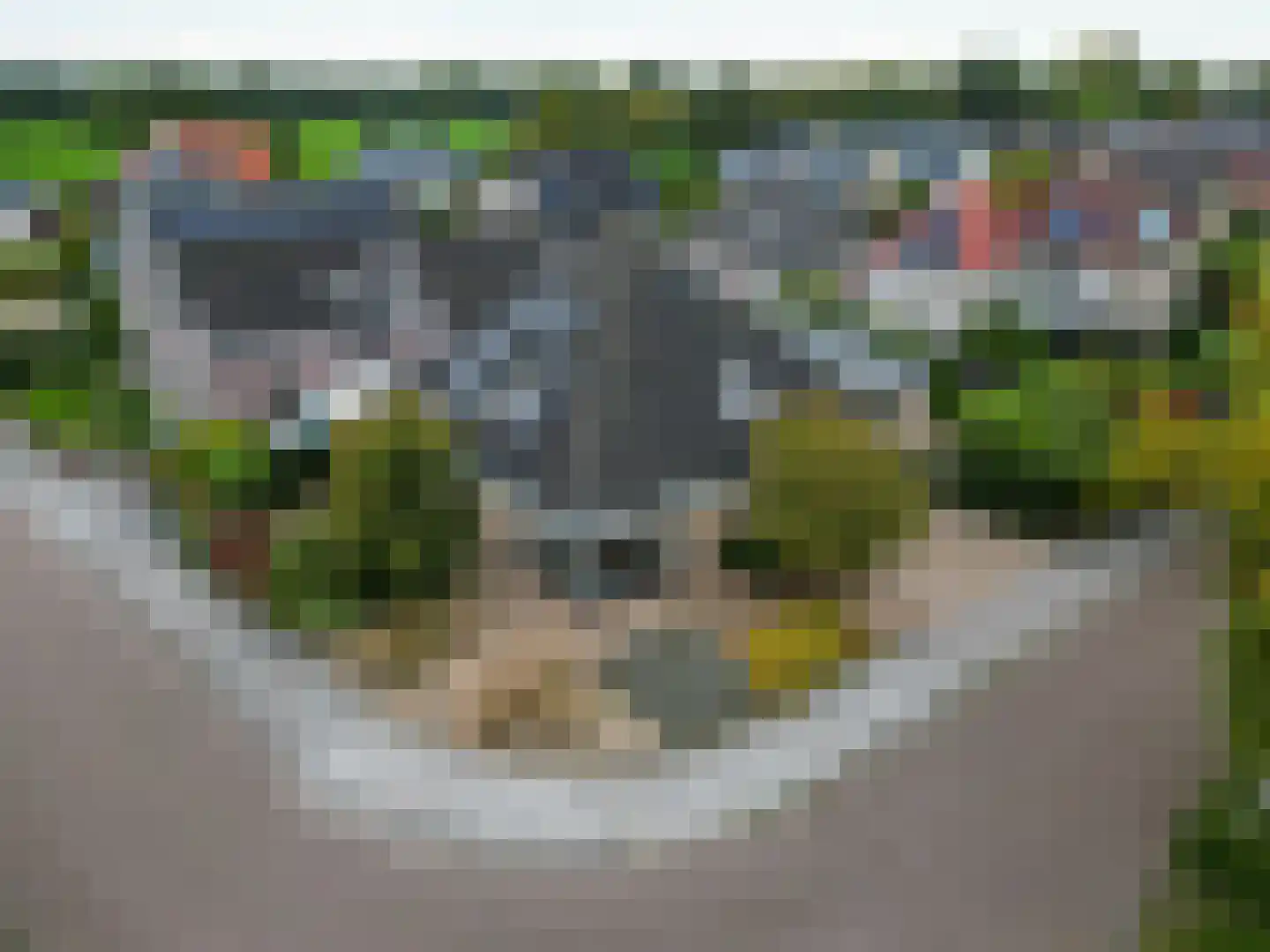 Valeriaan 30 Marum thumbnail 12