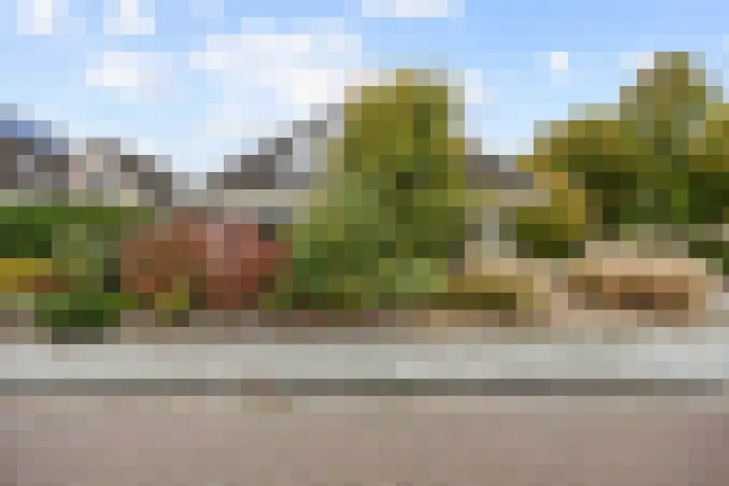 Valeriaan 30 Marum thumbnail 13