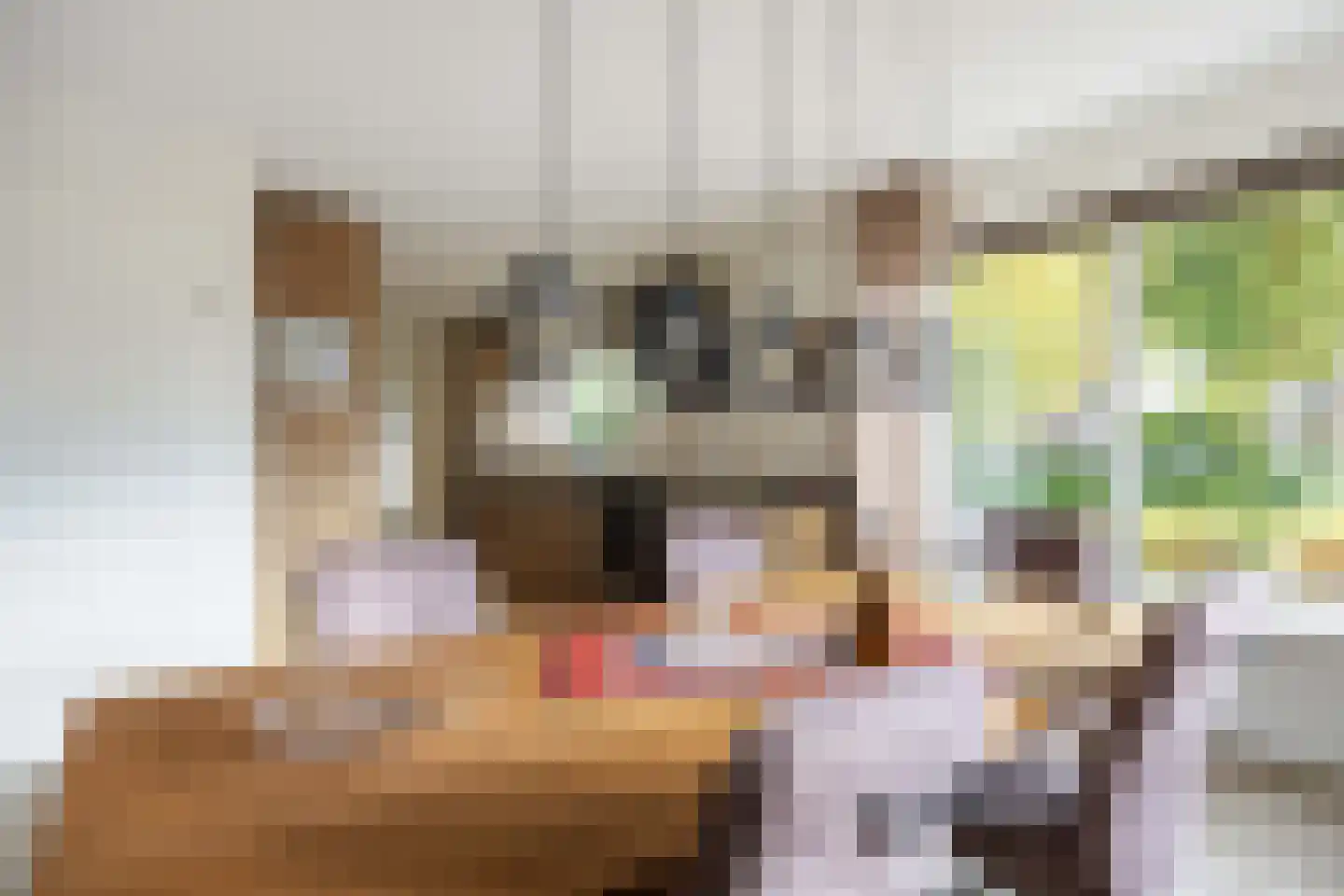 Valeriaan 30 Marum thumbnail 30