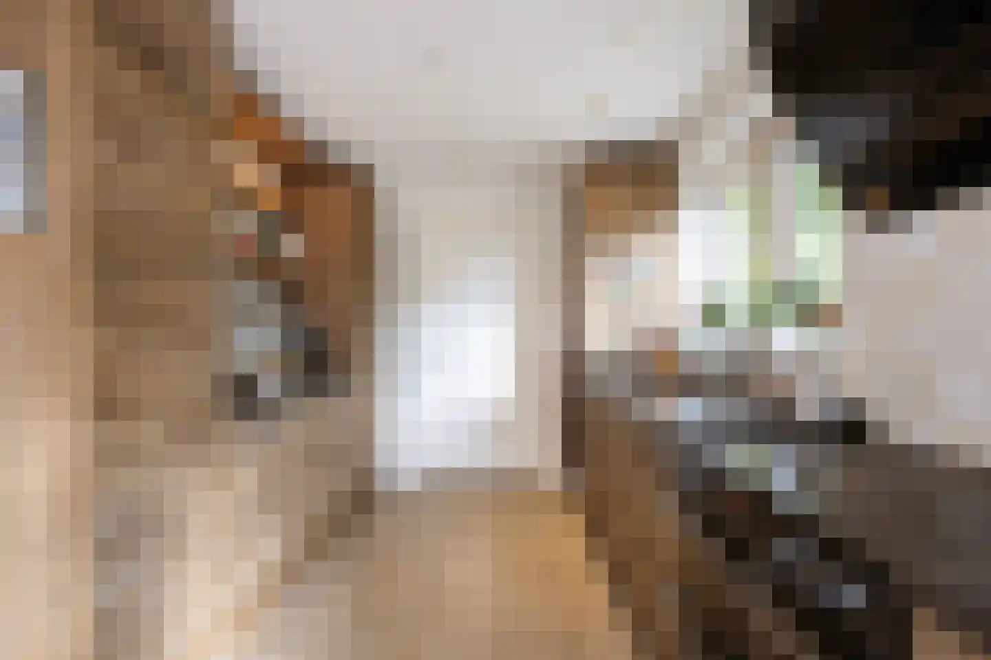 Valeriaan 30 Marum thumbnail 5