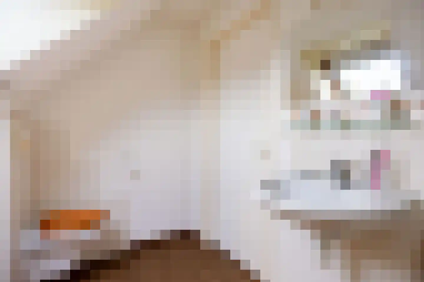 Valeriaan 30 Marum thumbnail 69