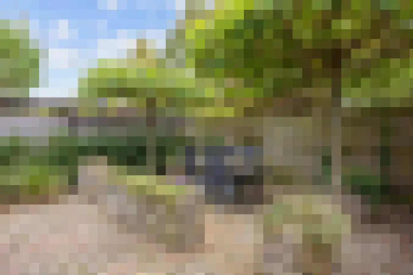 Valeriaan 30 Marum thumbnail 74